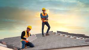 Best Roof Moss and Algae Removal  in East Ithaca, NY